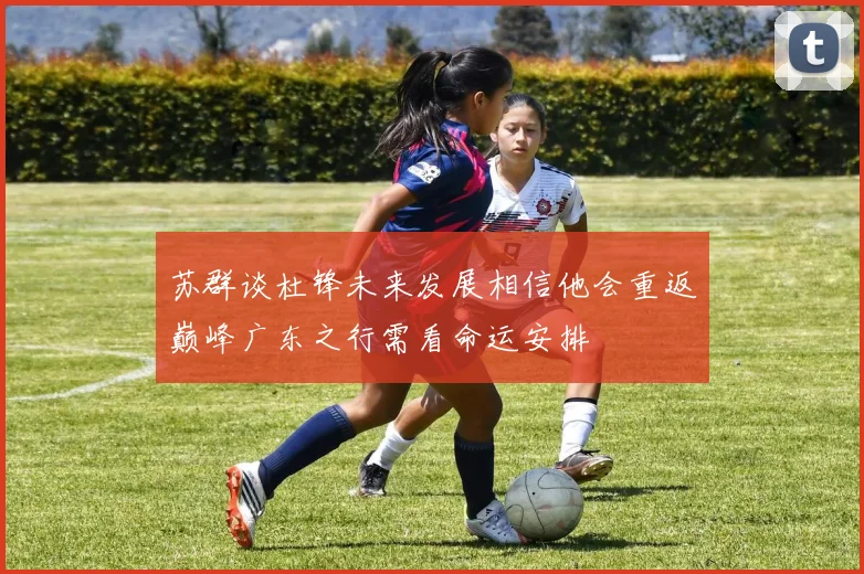 苏群谈杜锋未来发展相信他会重返巅峰广东之行需看命运安排
